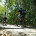 Bangkok Green Oasis Nature Bike Tour - The Sum Up: Who Should Consider This Tour?
