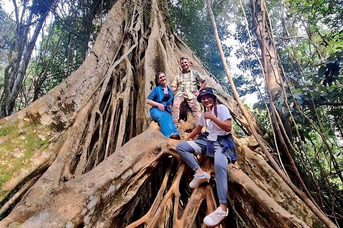 Bangkok: Khao Yai Nature Trails & Heaw Suwat Waterfall - A Deep Dive into the Khao Yai Experience