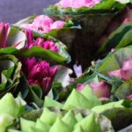 Bangkok Lotus Fields, Orchid Farm, and Flower Market Tour - The Value of This Experience