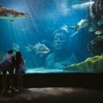 Bangkok SEA LIFE & Madame Tussauds Combo with Hotel Transfers - Authentic Perspectives from Reviewers