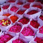 Bangkok without Traffic Jams - Transportation and Practical Details