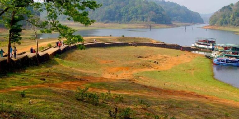 Beauty of Nature, Cochin with Periyar Wildlife Tour(04 Days) - FAQ