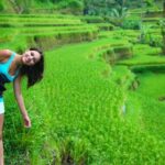 Beauty Of West Bali Tour (Private and All Inclusive) - Why This Tour Works for Travelers