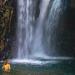 Bedugul and Singaraja Tour - What to Expect During the Tour