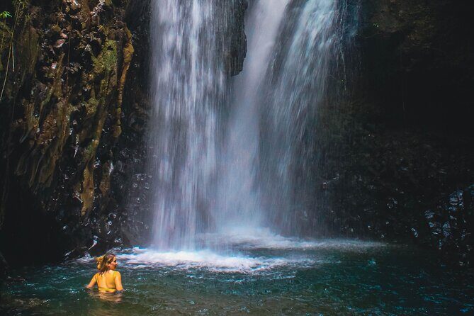 Bedugul and Singaraja Tour - What to Expect During the Tour