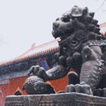 Beijing lama Temple Or Confucius Temple Tickets Reservation - Final Thoughts