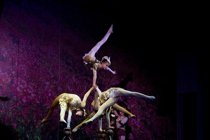 Beijing Night Tour- Acrobatic Show with Transfer - A Balanced Look: Pros and Cons