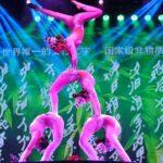 Beijing Roast Duck Banquet and Acrobatics Show with VIP Seats Evening Tour - The Show: A Must-See Cultural Highlight