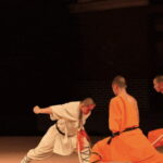 Beijing: Shaolin Temple Day Tour by Round Trip Bullet Train - What the Tour Means for You