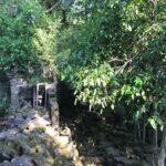 Beng Mealea Private Tour - Final Thoughts