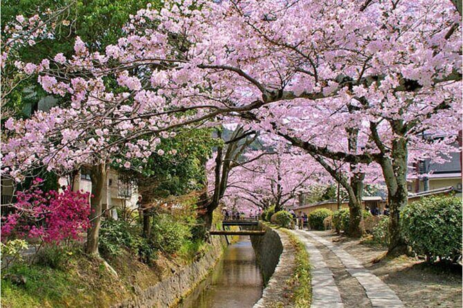 Bento and Bicycle Tour of Hidden Kyoto with Local Guides - Practical Details