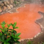 Beppu 4hr Private Trip with Government-Licensed Guide - The Itinerary: An In-Depth Breakdown