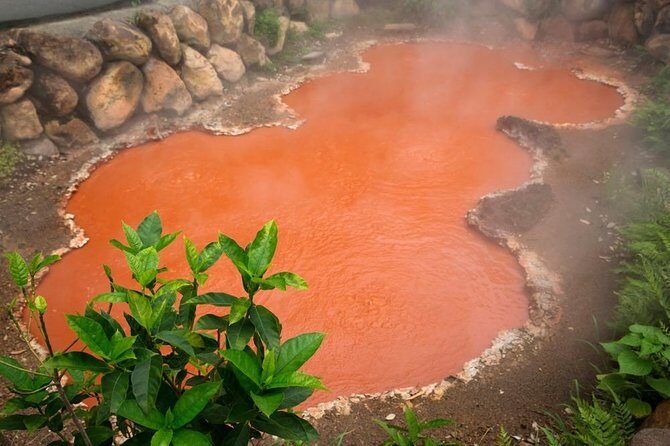 Beppu 4hr Private Trip with Government-Licensed Guide - The Itinerary: An In-Depth Breakdown