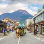 Beppu and Yufuin Scenic Private Tour - The Practical Side: What You Should Know