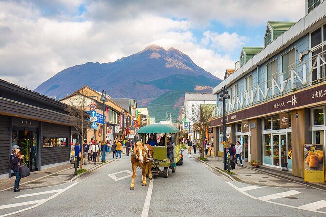 Beppu and Yufuin Scenic Private Tour - The Practical Side: What You Should Know
