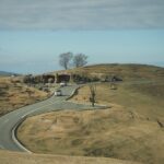 Beppus Best: African Safari and Beppu Hells Private Tour - Final Thoughts: Is It Worth It?