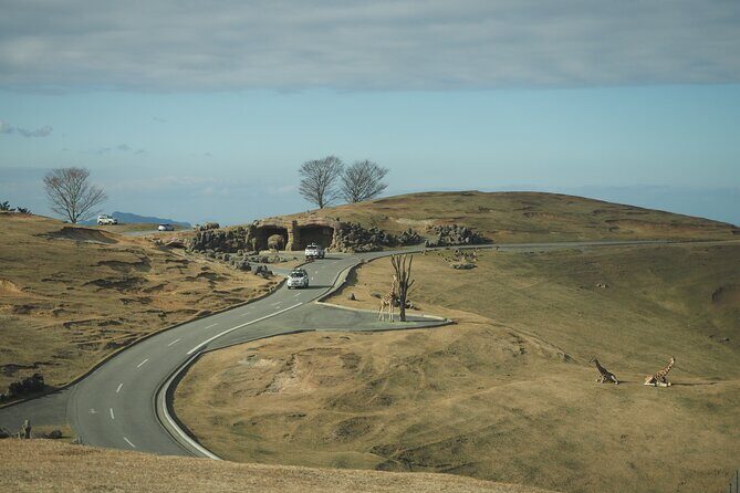 Beppus Best: African Safari and Beppu Hells Private Tour - Final Thoughts: Is It Worth It?