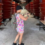 Best Choice Phu Quoc Land Tour: Discover South Island - Why This Tour Works for You