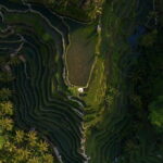 Best Day Tour - #3 World Cleanest Traditional Village - Who Will Love This Tour?