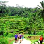 Best of Bali Tour - All Inclusive - A Detailed Look at the Ubud Highlights