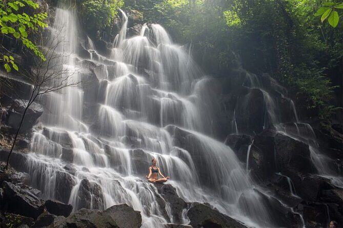 Best of Bali - Ubud Tour All-Inclusive Private Tour - Who Should Consider This Tour?