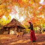 Best of Kyoto and Nara Highlights Day Tour from Osaka (7~9 spots) - Final Thoughts