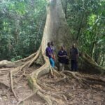 Best of Malaysia 10 Days - What Makes This Tour Stand Out?