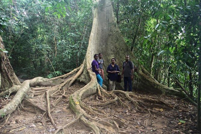 Best of Malaysia 10 Days - What Makes This Tour Stand Out?