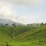 Best of Surakarta Country site tour - Final Thoughts: Is This Tour for You?