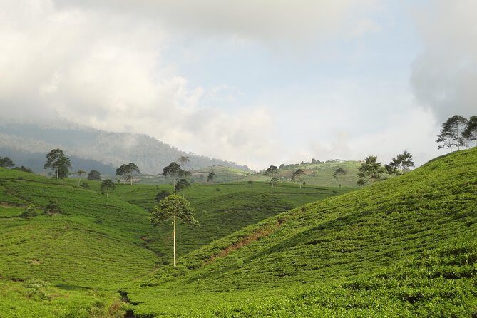 Best of Surakarta Country site tour - Final Thoughts: Is This Tour for You?