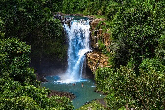 Best of Ubud - All Inclusive - Who Would Enjoy This Tour?