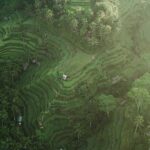 Best of Ubud Full Day Private Tour - Who Should Take This Tour?