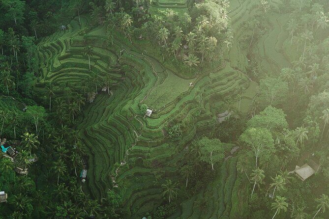 Best of Ubud Full Day Private Tour - Who Should Take This Tour?