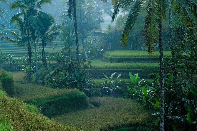 Best of Ubud: Private All-Inclusive Tour with Jungle Swing - Who Is This Tour Best Suited For?