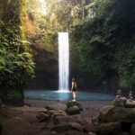 Best of Ubud: Waterfalls, Temple & Rice Terraces Private Day Tour - What Makes This Tour Stand Out?