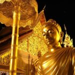 Best seller!! Amazing Night tour, Doi Suthep + Wat umong - Top Must visit! - Authentic Insights from Travelers