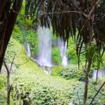 Best Sendang Gile and Tiu Kelep Waterfalls Tour - Who Is This Tour Best For?