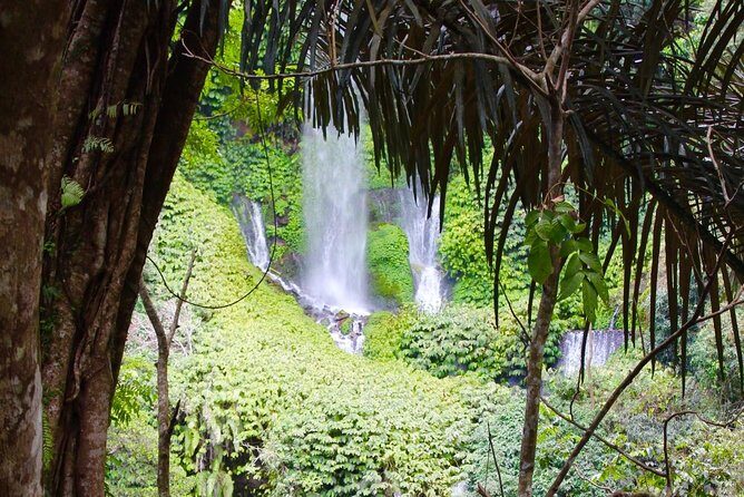 Best Sendang Gile and Tiu Kelep Waterfalls Tour - Who Is This Tour Best For?