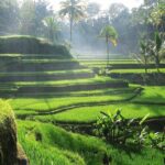 Best Ubud Tour Private Tour All Inclusive Package - FAQs