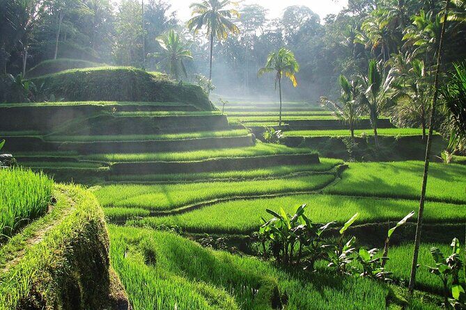 Best Ubud Tour Private Tour All Inclusive Package - FAQs