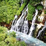 [Biei/Furano] One-day sightseeing by private car! - Who Should Book This Tour?