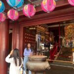 Big Bus Van Singapore City Tour 4 Hours ( Max 8 people) - The Practical Side