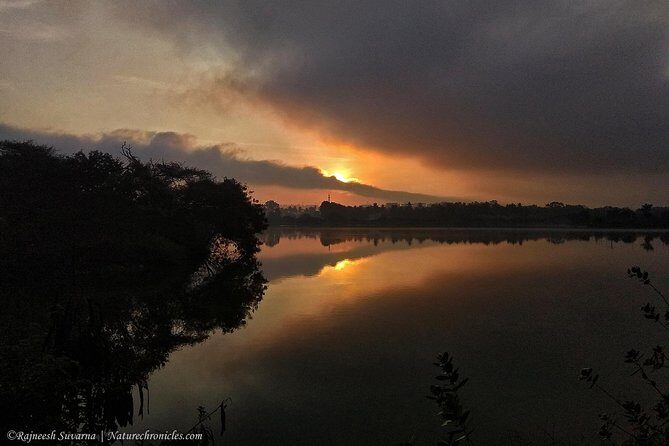 Birding & Bird Photography tour in Bangalore - Who Will Love This Tour?