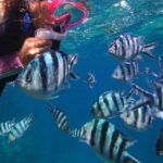 Blue Cave Private Snorkeling with Photoshoot - FAQ