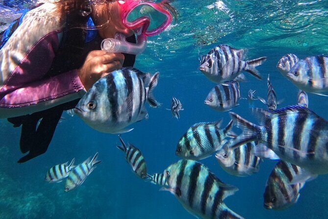 Blue Cave Private Snorkeling with Photoshoot - FAQ