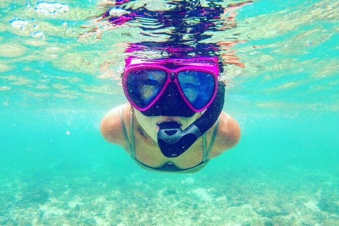 Blue cave snorkeling with pick up from Naha or Chatan - Who Is This Tour Best For?