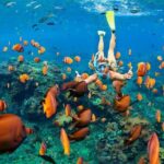 Blue Lagoon Snorkeling - Jungle Swing - Ubud - All Inclusive - Why This Tour Works Well