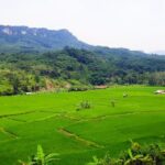 Bogor Botanical Garden & Rainforest Trekking to Hidden Waterfall - The Value of This Tour