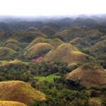 Bohol Highlights Tour: Chocolate Hills, Tarsier Spotting and Loboc River Cruise - Who Will Love This Tour?