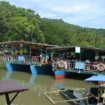 Bohol: Loboc River Buffet-Lunch Cruise with Private Transfer - Who Should Consider This Tour?
